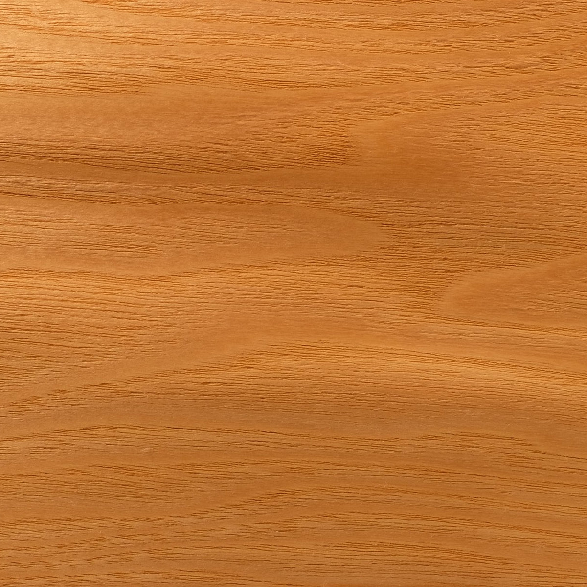 Close-up of ash grain, pale cream with strong growth-ring lines