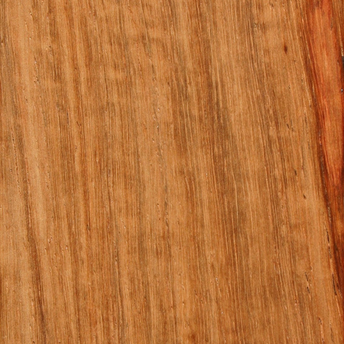Close-up of kiaat, golden brown with darker streaks running through the grain