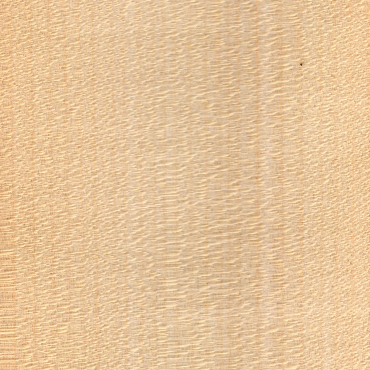 Close-up of maple, near-white with a very fine close grain