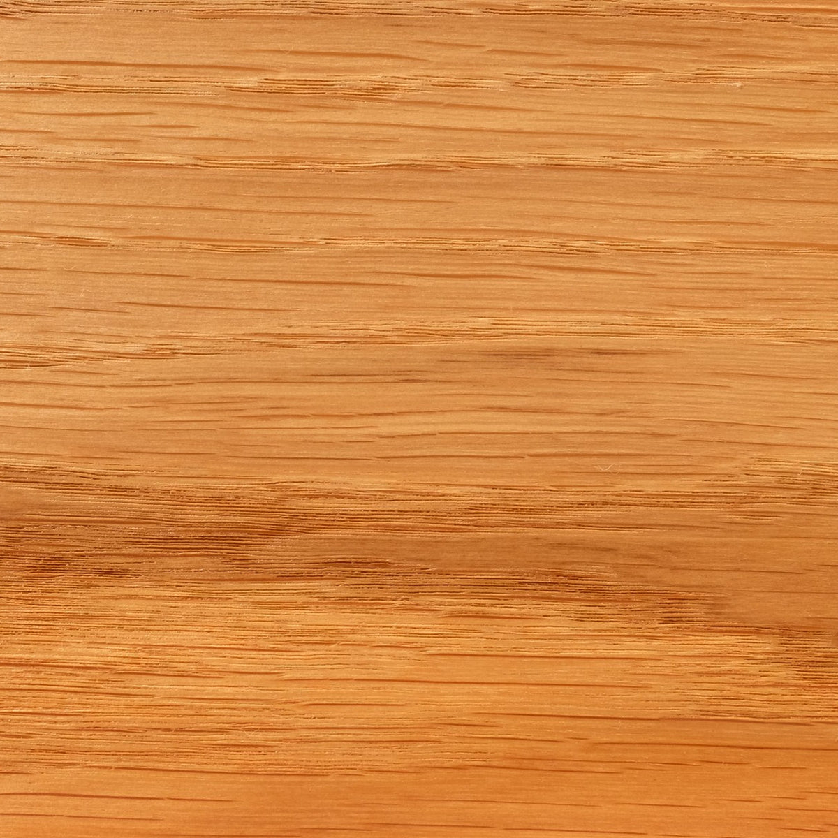Close-up of European oak grain, showing coarse open pores and pale honey colour