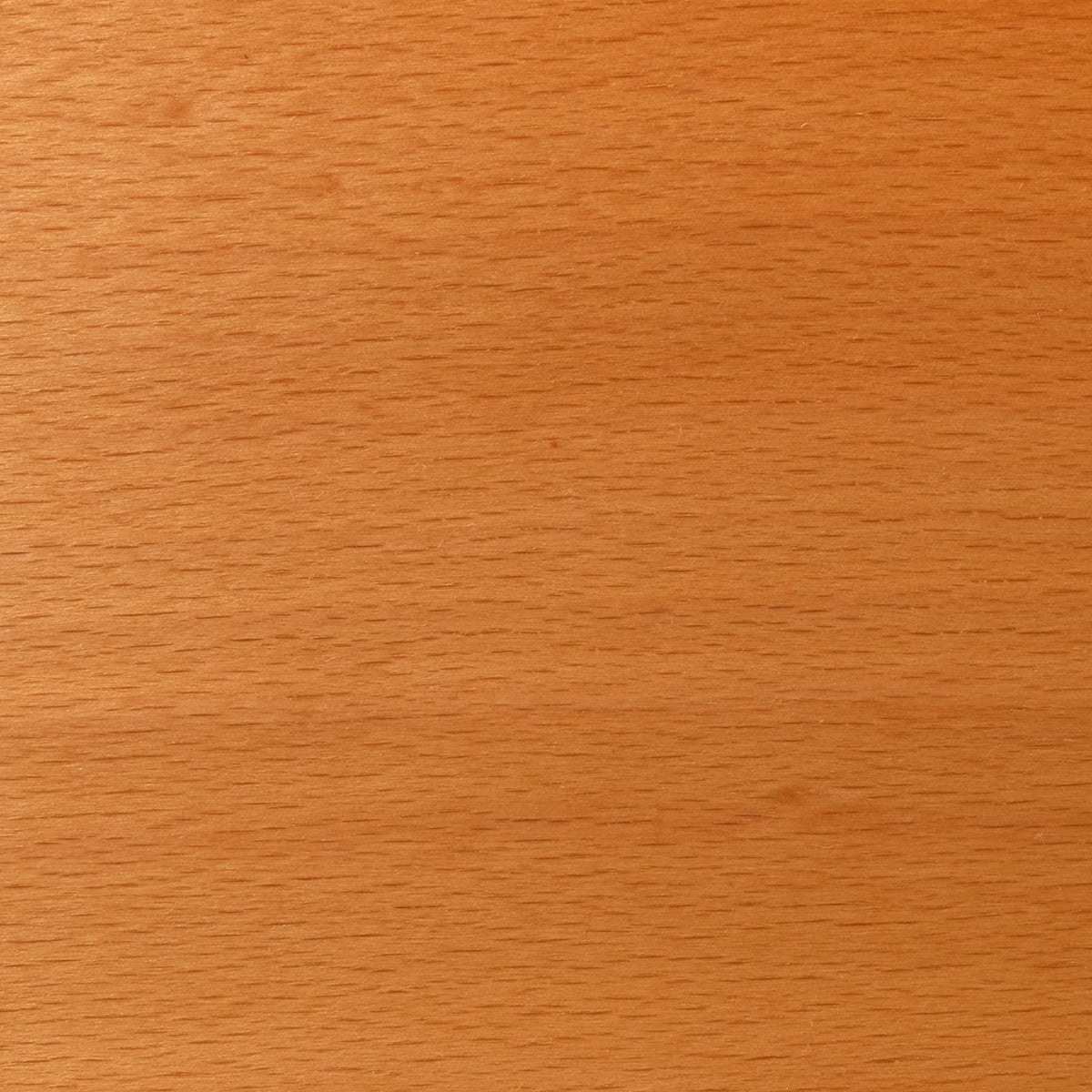 Close-up of steamed pink beech, the same fine texture in a warmer pink-tan