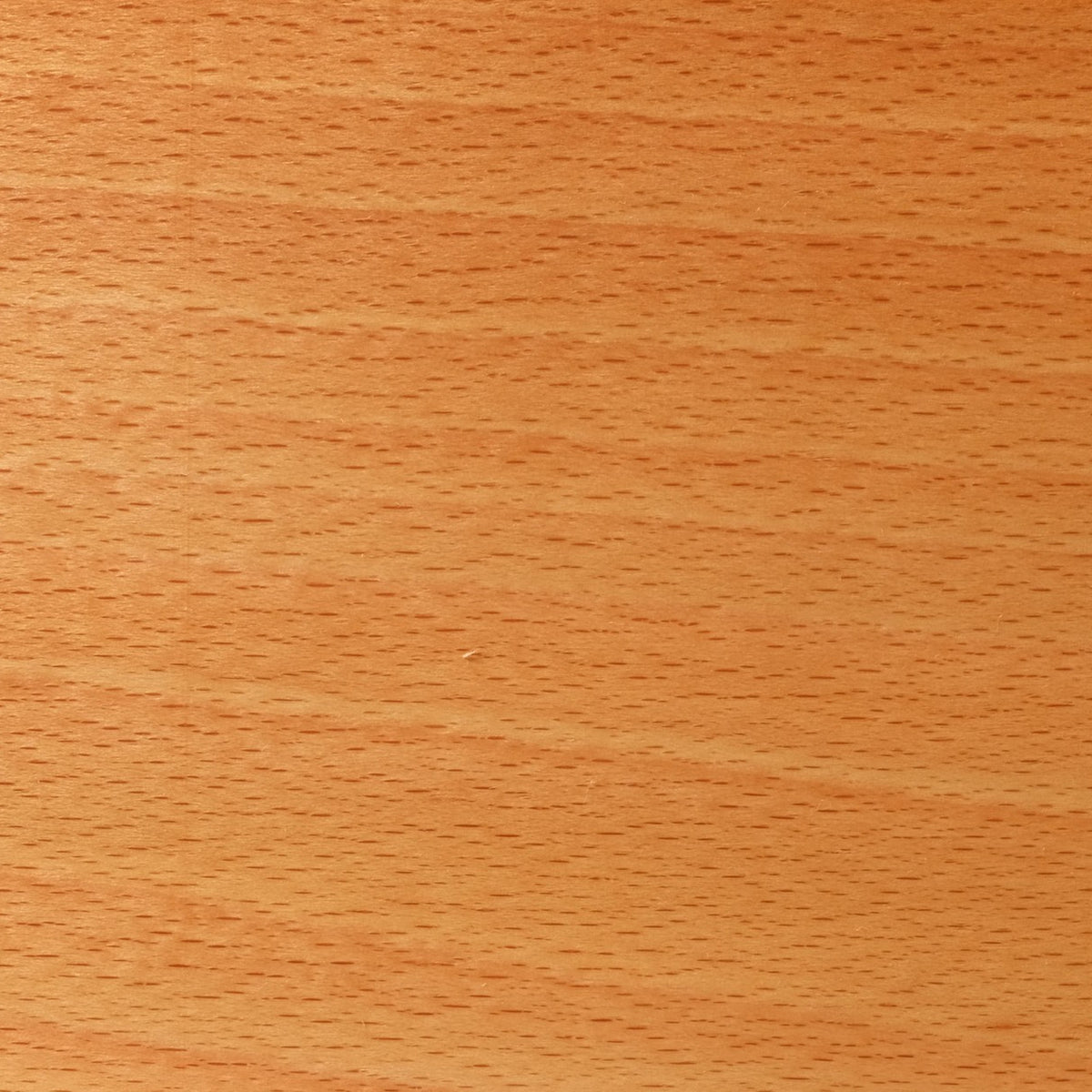 Close-up of unsteamed white beech, fine even texture with small reddish flecks